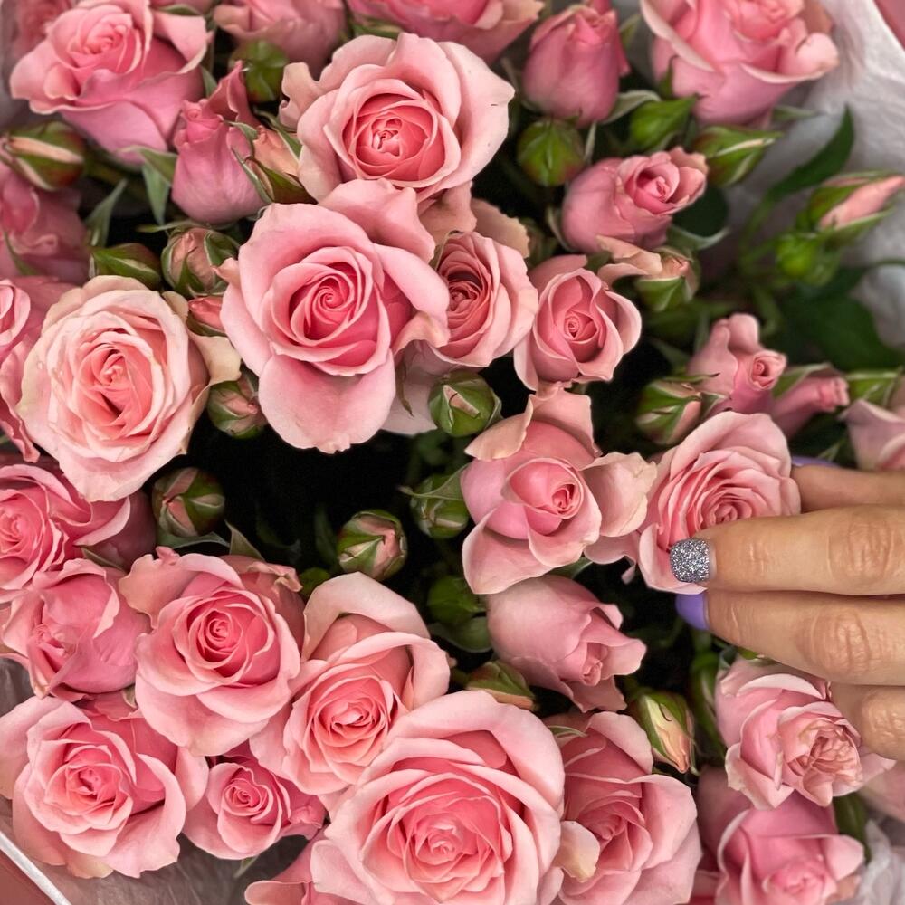 Букет из 9 розовых кустовых роз – нежность в каждом лепестке Красный Кут Саратовская область